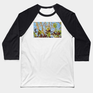 A Baltimore Oriole Perched On A Tree Baseball T-Shirt